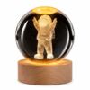 فضانورد